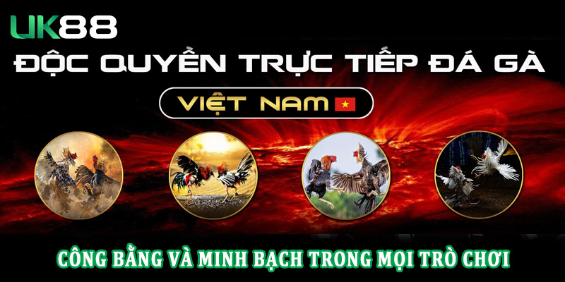 Một số hình thức đá gà Uk88 hot nhất